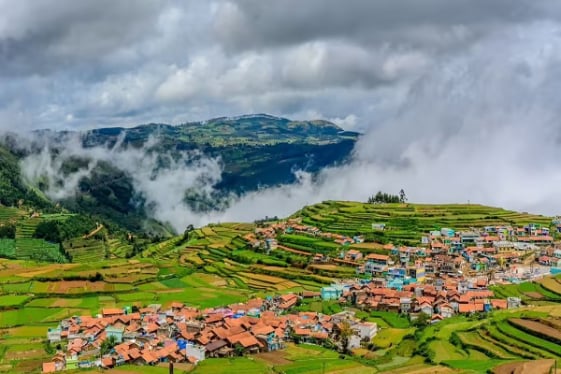 Shalini Cabs and Tempo Travellers - Kodaikanal tour