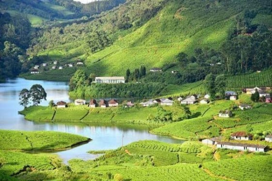 Shalini Cabs and Tempo Travellers - Munnar Tour Package