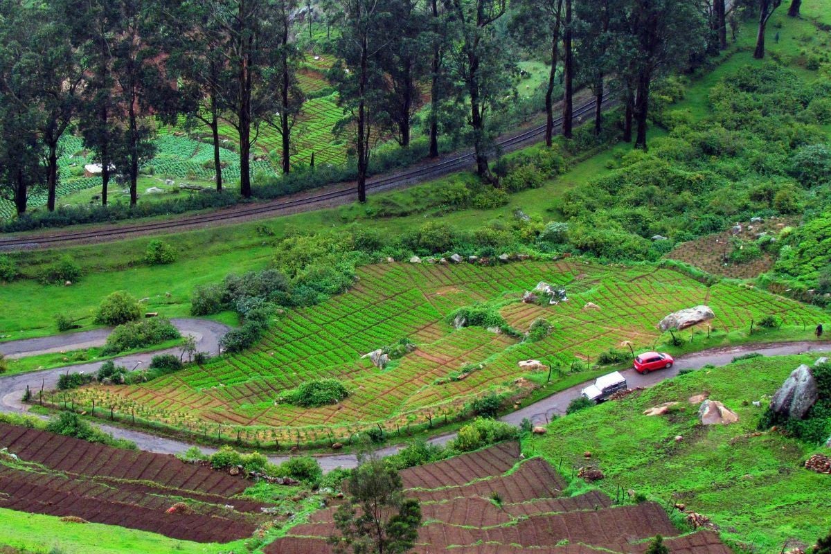 Shalini Cabs and Travels Nagercoil - Ooty our